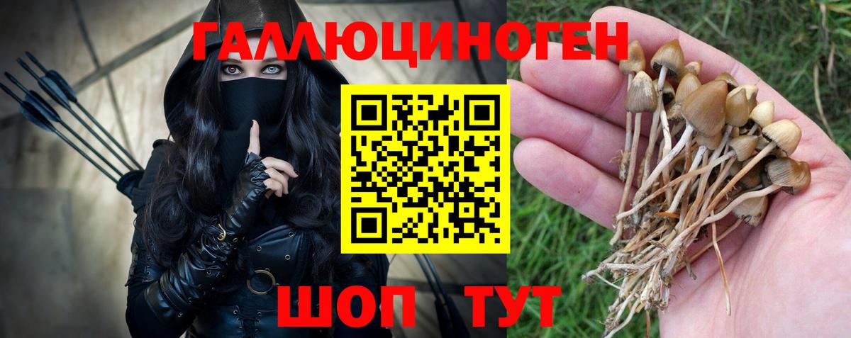 Чебоксары  Галлюциногенные грибы Psilocybine cubensis  где купить наркоту  Вход с VPN 